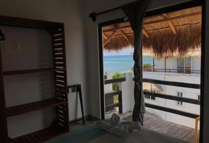 Номер Стандарт, Blue Reef Frente Al Mar