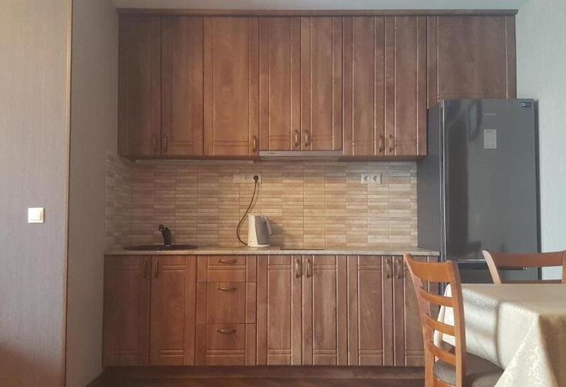 استودیوی استاندارد با چشم‌انداز دریا, Mimino Apartment Deluxe First Line