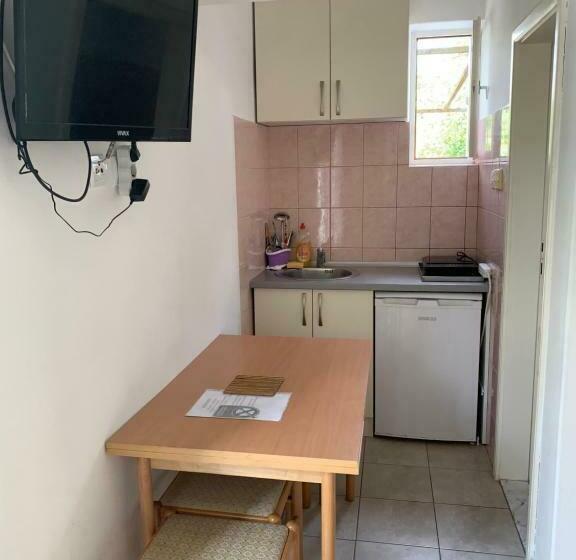 آپارتمان 1 خوابه همکف, Anita Guest House