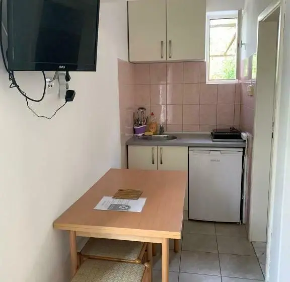 آپارتمان 1 خوابه همکف, Anita Guest House