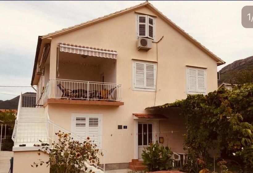 آپارتمان 1 خوابه همکف, Anita Guest House