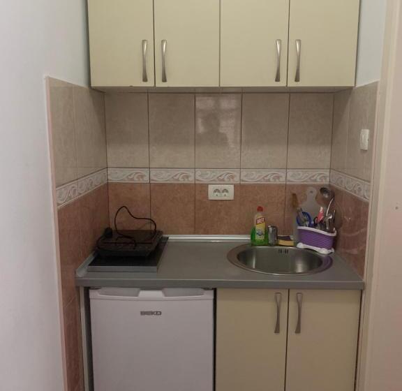 آپارتمان 1 خوابه همکف, Anita Guest House