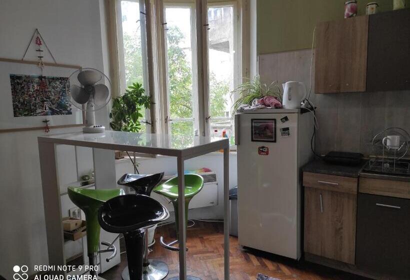 חדר סטנדרט חדר אמבטיה משותף, Central Station Private Rooms