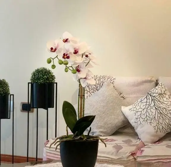 １ベッドルームアパートメント, Cusco Magico 2   Aparthotel Condominio Las Torres Kayser Ii