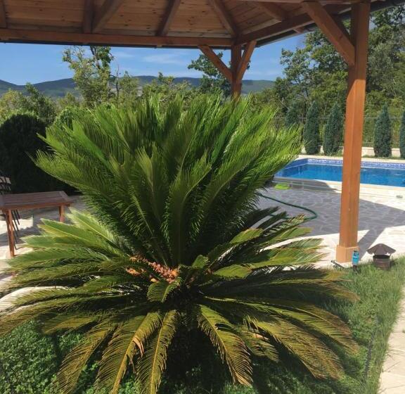 ویلای یک اتاق خوابه با استخر شنا, Villa Rakhimov