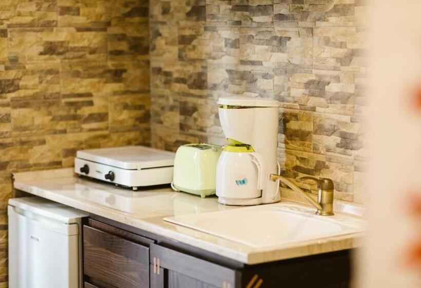 דירת שני חדרים, Hanul Conitei