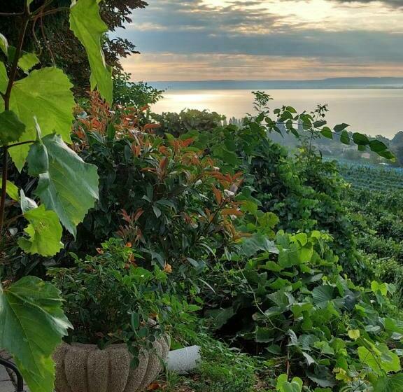 レイクビュースタンダードルーム, Maison Bagatell Badacsony