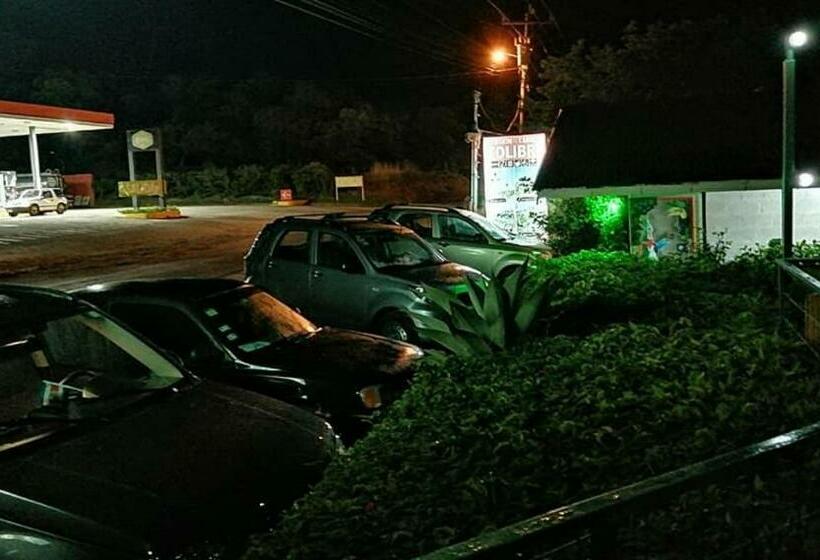 스탠다드 룸, Pensión Y Cabinas Colibrí B&b Costa Rica