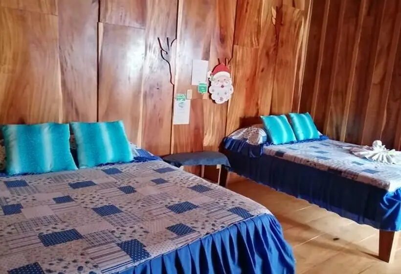 スタンダードルーム, Pensión Y Cabinas Colibrí B&b Costa Rica