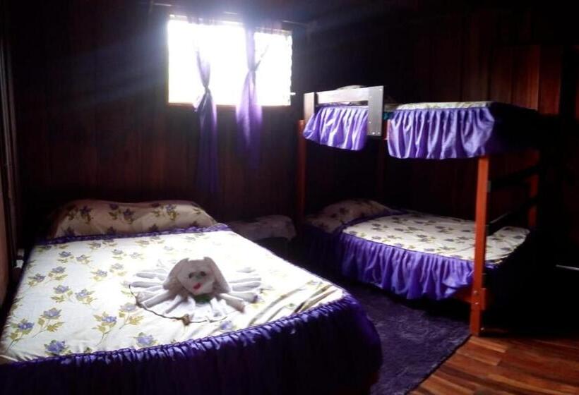 4인용 스탠다드 룸, Pensión Y Cabinas Colibrí B&b Costa Rica