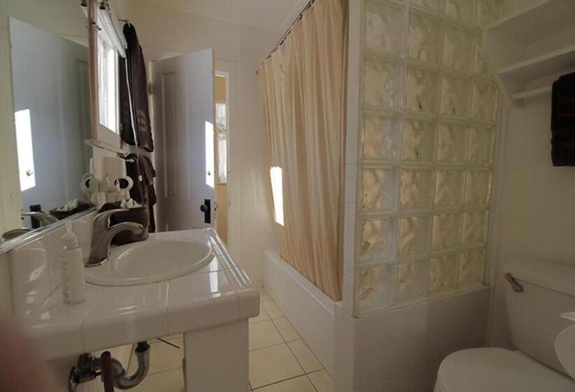 디럭스 방갈로, Silver Pines Lodge