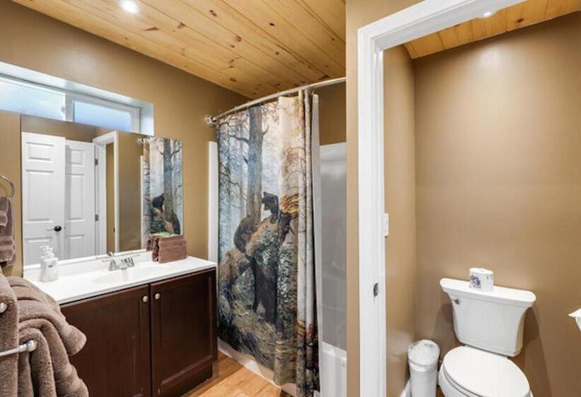 패밀리 스튜디오, Silver Pines Lodge