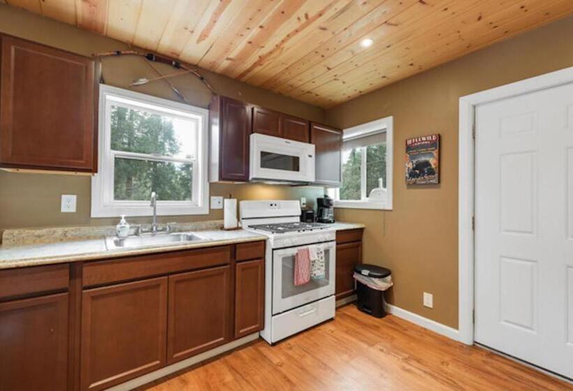 패밀리 스튜디오, Silver Pines Lodge