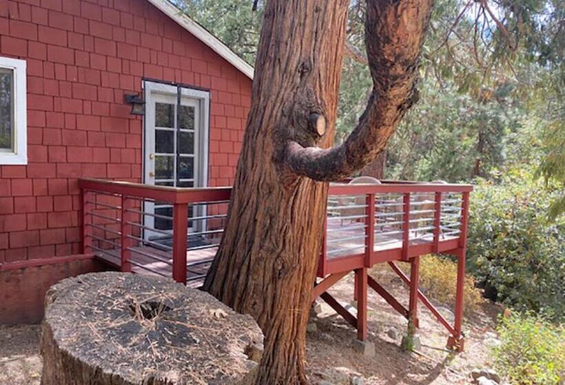 디럭스 스위트, Silver Pines Lodge