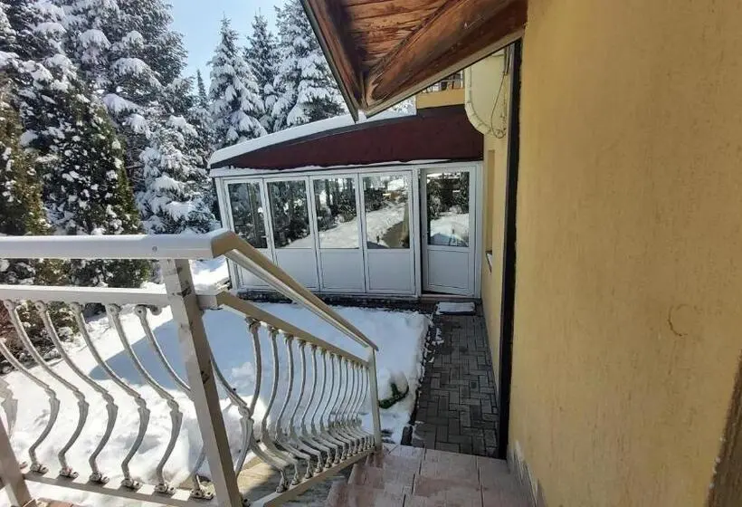 استودیوی استاندارد, Guesthouse Dabić