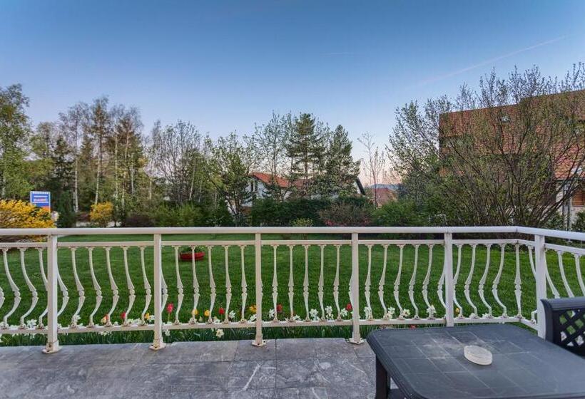 آپارتمان 1 خوابه با تراس, Guesthouse Dabić