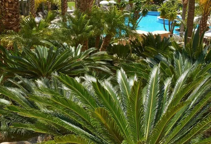اتاق پریمیوم با چشم‌انداز باغ, Ria Park Hotel & Spa