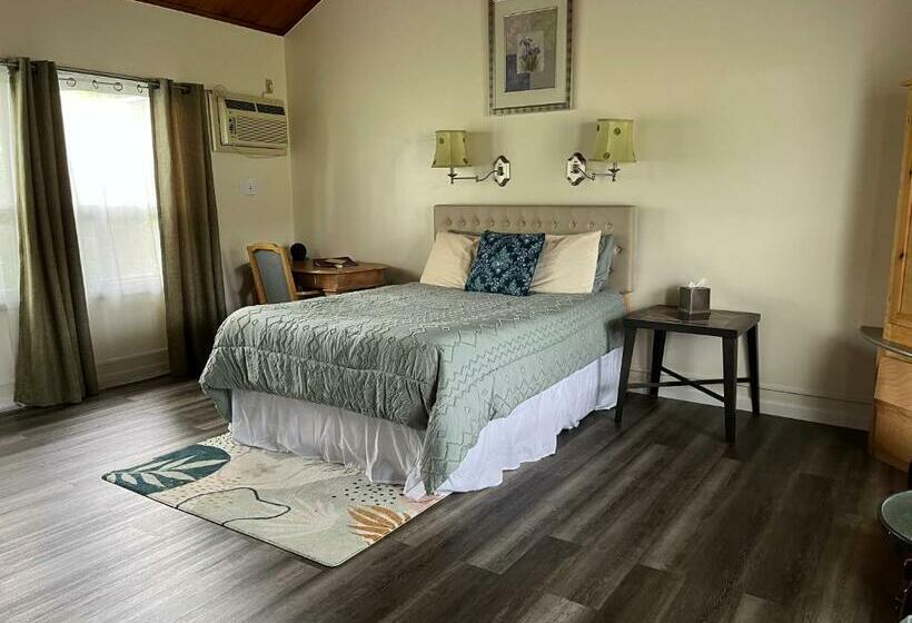 Номер Стандарт, Vinehurst Inn & Suites