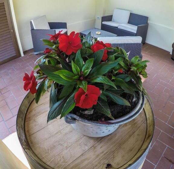 اتاق دوبلکس, Casale La Fata Tipico Toscano Immerso Nelle Colline Tra Lucca E Versilia, 6 Appartamenti Indipenden