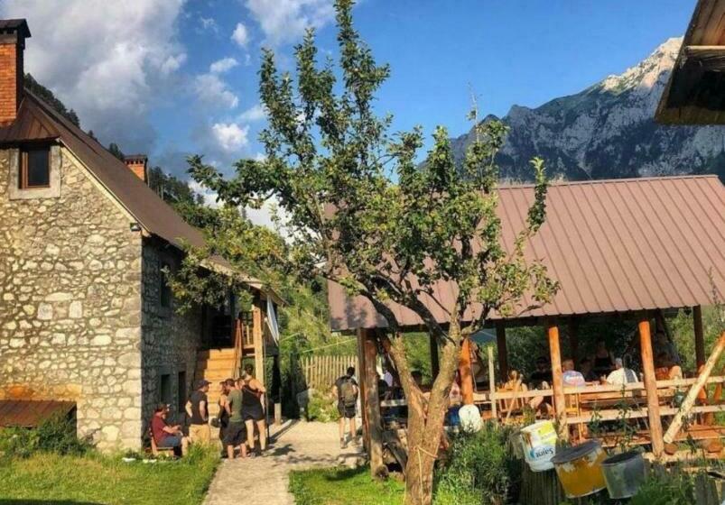 اتاق لوکس, Hostel Kukaj