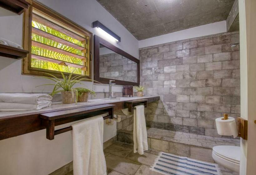 استودیوی لوکس, Camp Bay Lodge