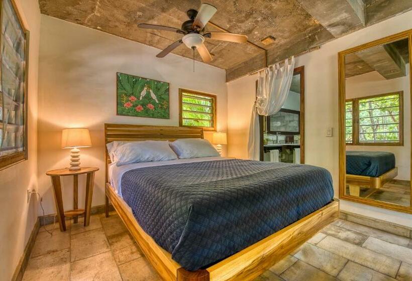 استودیوی لوکس, Camp Bay Lodge