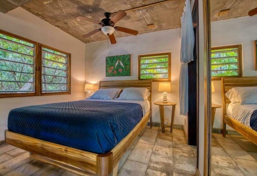 استودیوی لوکس, Camp Bay Lodge