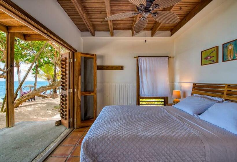 اتاق لوکس, Camp Bay Lodge