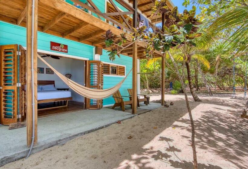 اتاق لوکس, Camp Bay Lodge