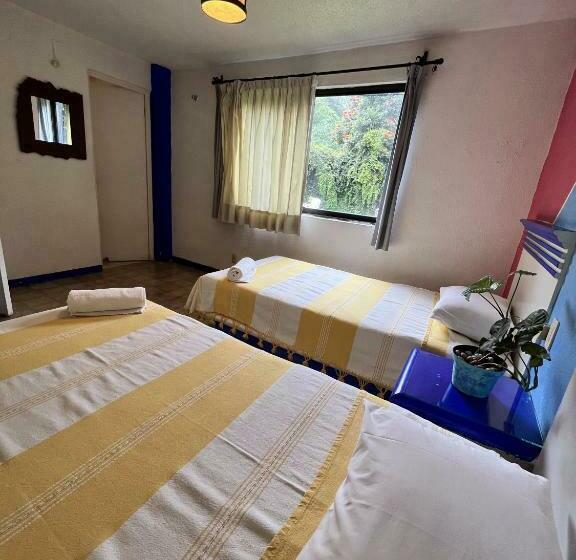 スタンダードルーム, La Morada Del Xolo Pet Friendly