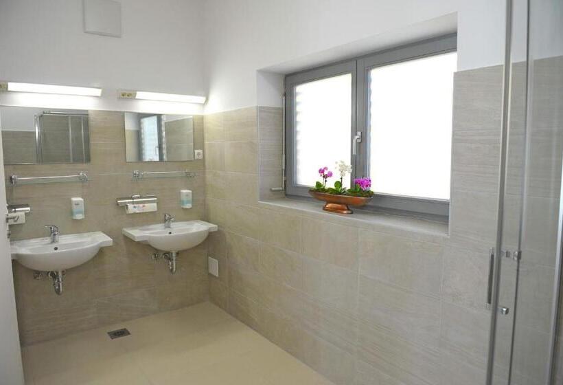 اتاق استاندارد با سرویس بهداشتی مشترک, Hostel Ormož