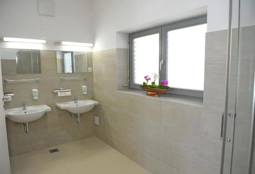 اتاق استاندارد با سرویس بهداشتی مشترک, Hostel Ormož