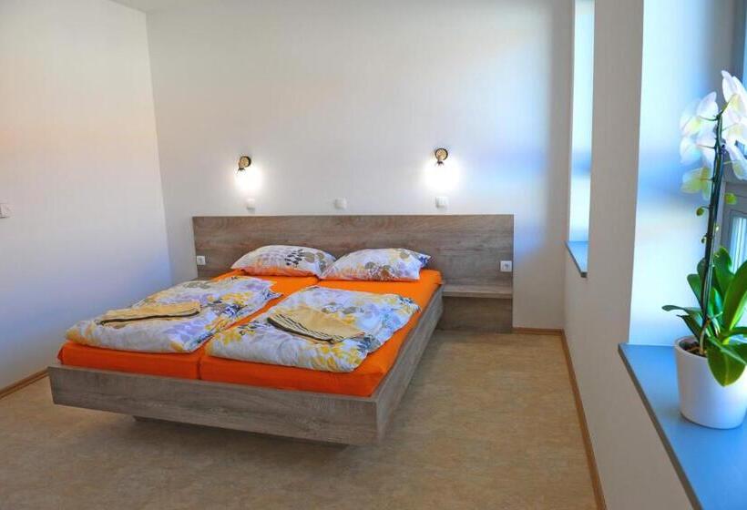 اتاق استاندارد با سرویس بهداشتی مشترک, Hostel Ormož