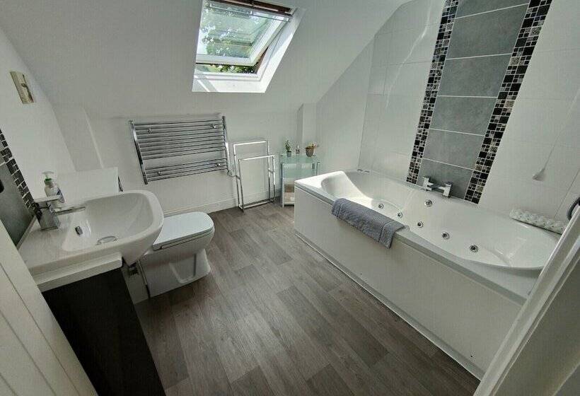 Апартаменты Deluxe 1 Спальня, Pant Glas Barn