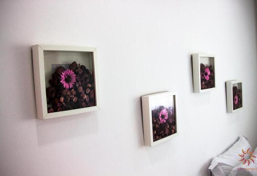 스위트, Nine Senses