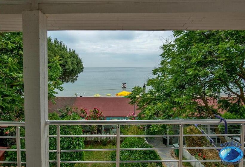 Апартаменты Deluxe 1 Спальня, Poyraz Resort