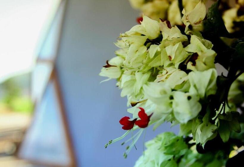 חדר דלוקס לארבעה, Serrania Del Viento