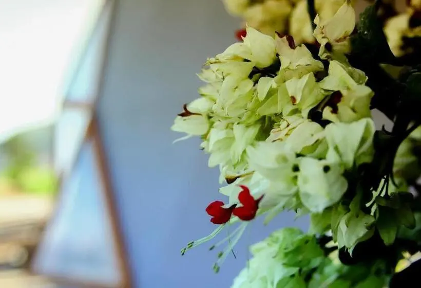 اتاق لوکس چهار تخته, Serrania Del Viento