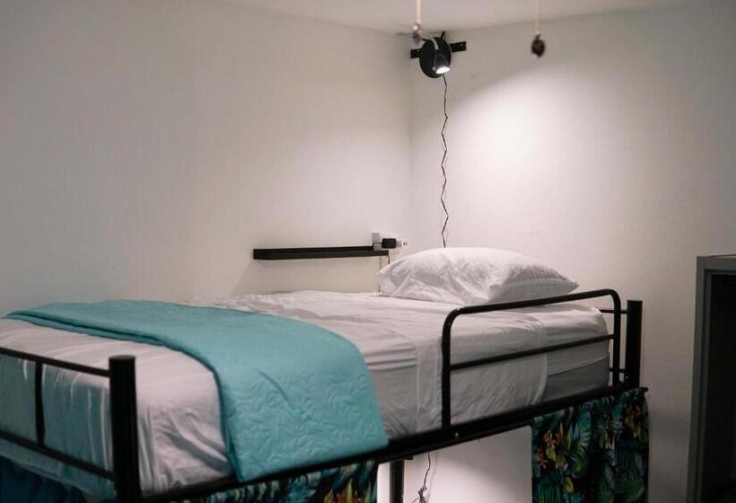 Кровать в Общей Комнате, Nativus Art Hostel