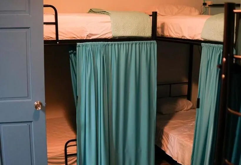ルームシェアのワンベッド, Nativus Art Hostel