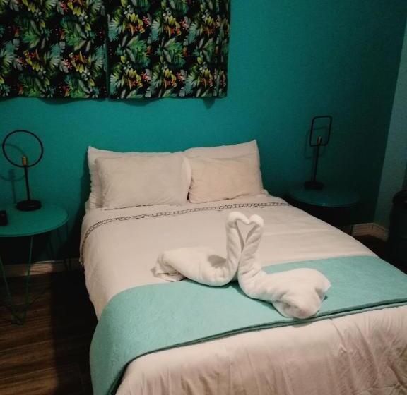 Номер Стандарт, Nativus Art Hostel