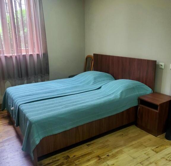 اتاق خانوادگی, Guest House Agmashenebeli 229