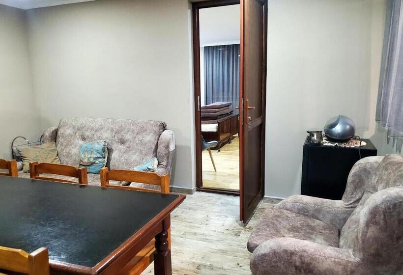 اتاق خانوادگی, Guest House Agmashenebeli 229