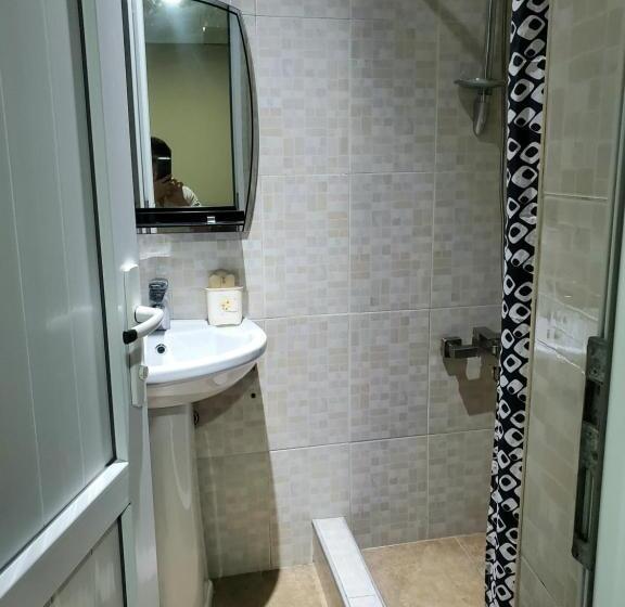 اتاق خانوادگی, Guest House Agmashenebeli 229