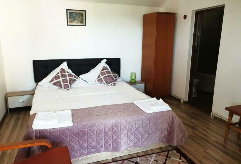 스탠다드 룸, Pensiunea Dana