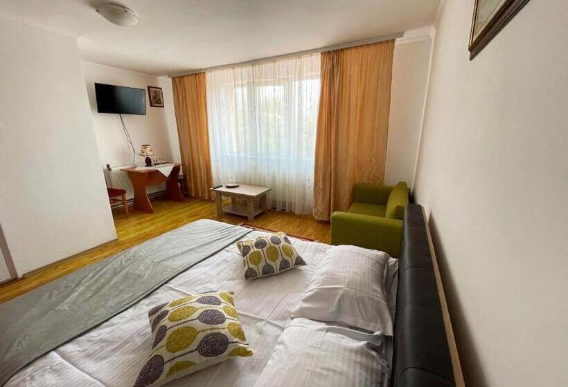 스탠다드 룸, Pensiunea Dana