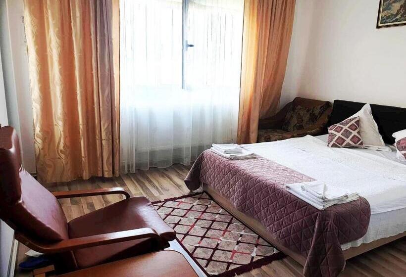 스탠다드 룸, Pensiunea Dana