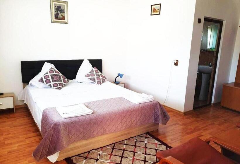 스탠다드 룸, Pensiunea Dana