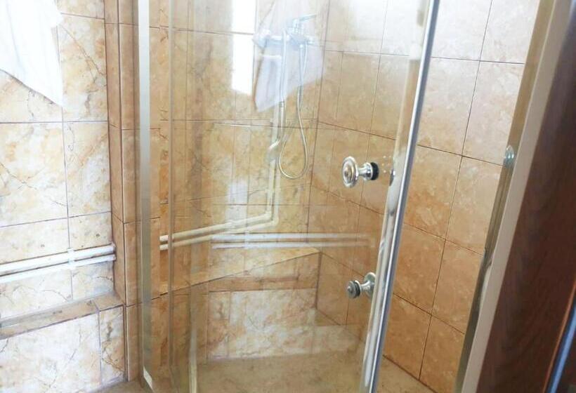 스탠다드 트리플 룸, Pensiunea Dana