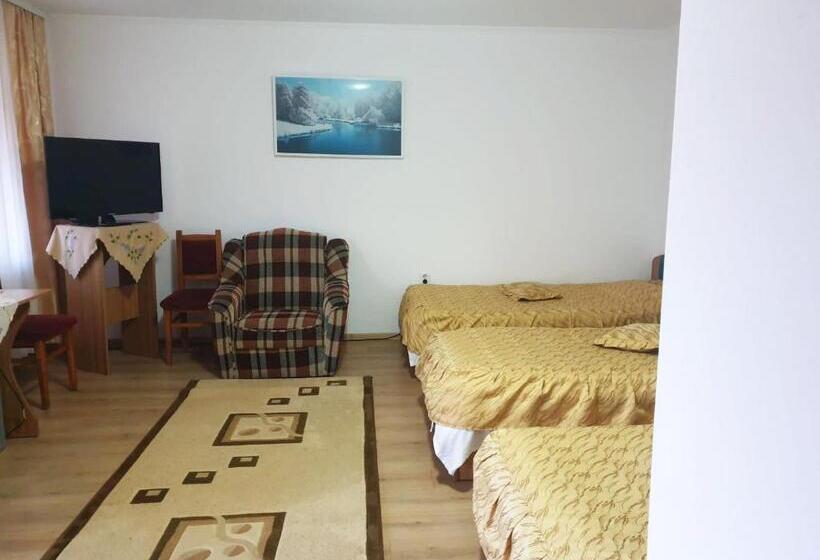 스탠다드 트리플 룸, Pensiunea Dana